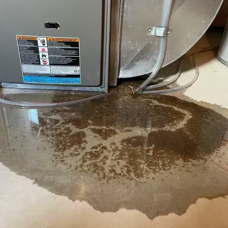 Appliance Leak Cleanup in Hickman County, KY